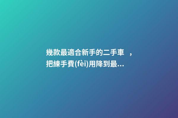 幾款最適合新手的二手車，把練手費(fèi)用降到最低